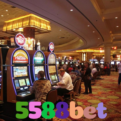  5588bet